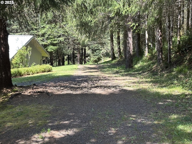 view of road with a view of trees