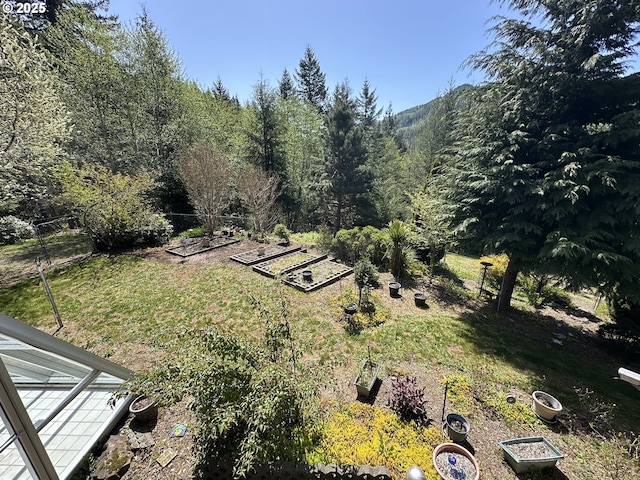 view of yard with a vegetable garden and a forest view