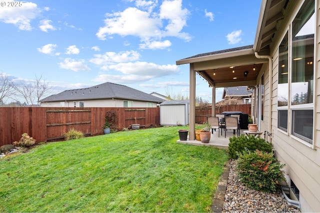 view of yard featuring a patio and a shed