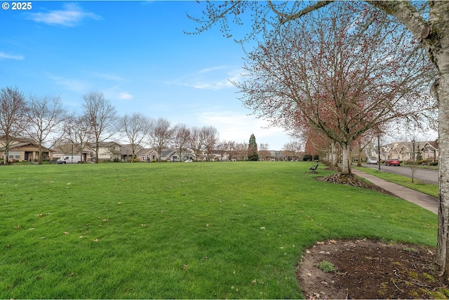 view of yard featuring a residential view