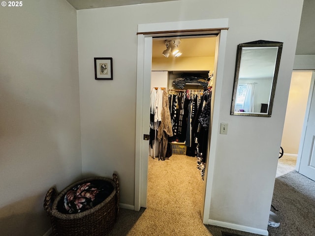 interior space with carpet