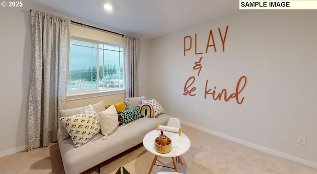 sitting room with carpet flooring