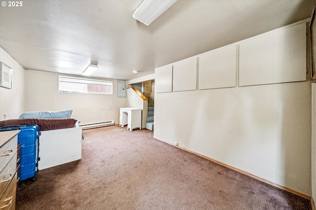5246 SE 65th Ave, Portland, OR 97206 - below grade area with a baseboard heating unit, carpet, and electric panel