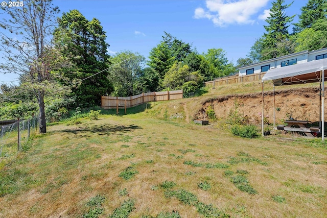 1387 Washington Ave, Coos Bay, OR 97420 - view of yard