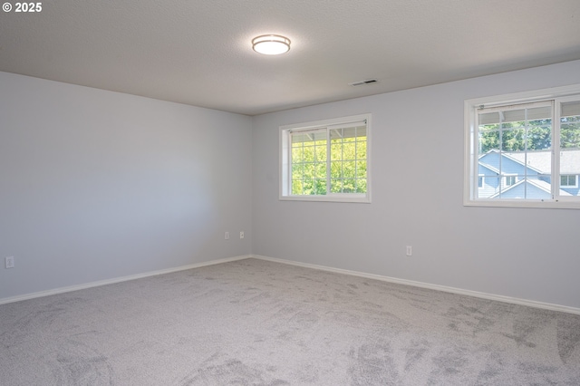 10014 NE 146th Ave, Vancouver, WA 98682 - empty room with carpet and plenty of natural light