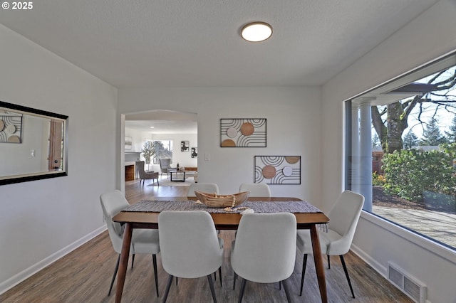 dining room featuring a wealth of natural light, wood finished floors, visible vents, and baseboards