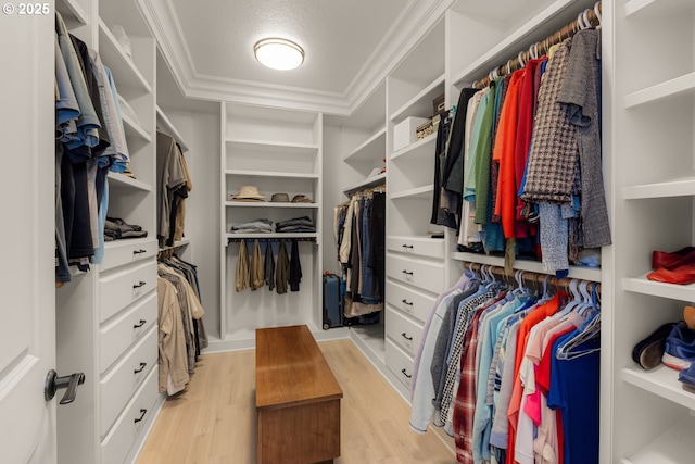 spacious closet featuring light wood-style floors