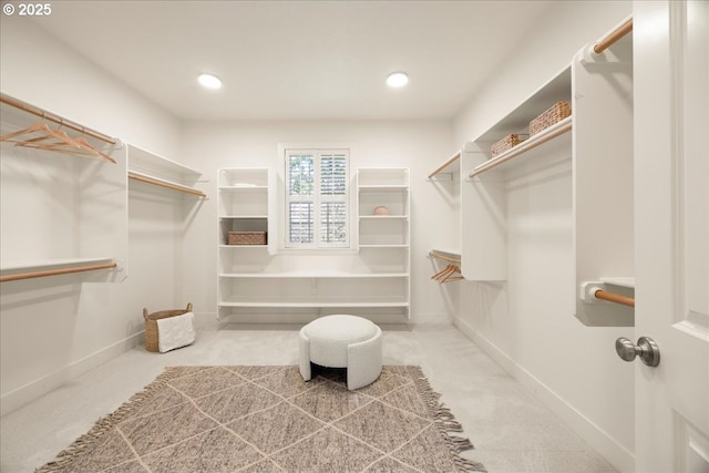 9037 NW Murdock St, Portland, OR 97229 - spacious closet with carpet flooring