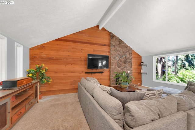 living room featuring a healthy amount of sunlight and wooden walls