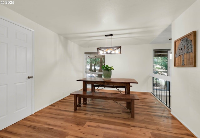 dining area with wood-type flooring and a wealth of natural light