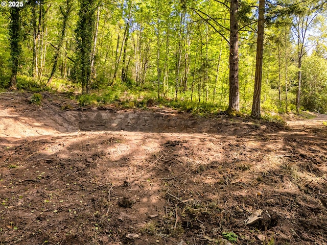 00 Spreadborough Rd, Kalama, WA 98625