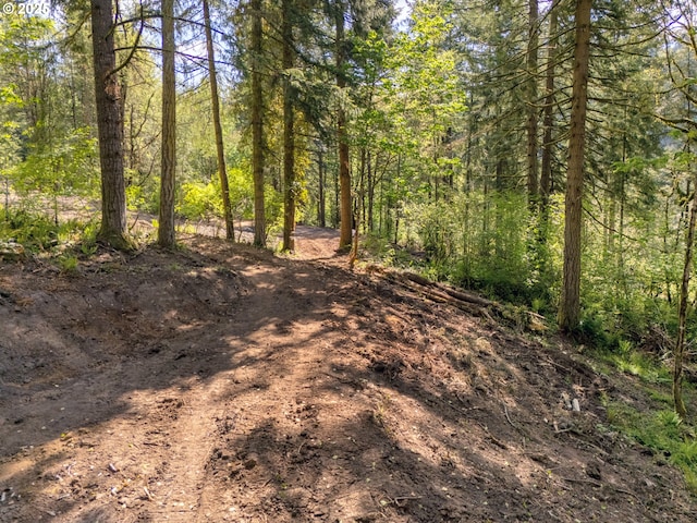 00 Spreadborough Rd, Kalama, WA 98625
