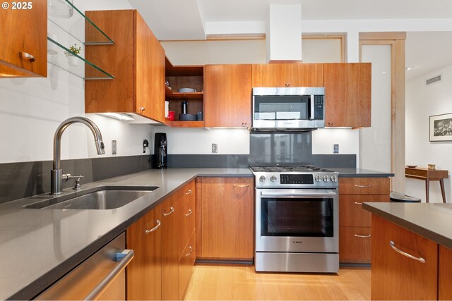 kitchen with appliances with stainless steel finishes, light hardwood / wood-style floors, and sink