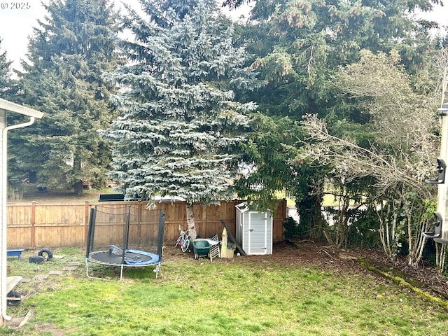 view of yard featuring a trampoline and a shed