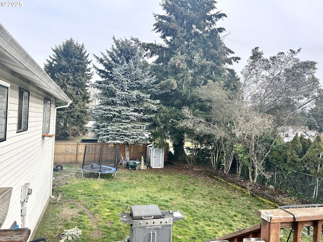 view of yard featuring a trampoline and a shed