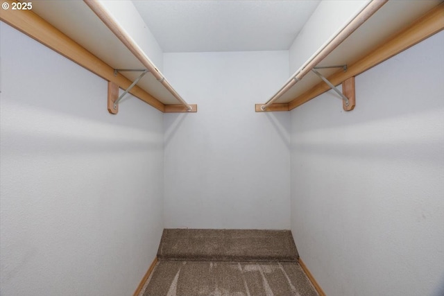 walk in closet featuring carpet flooring
