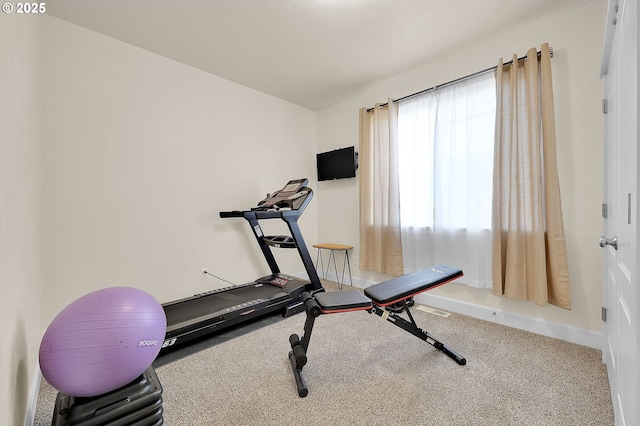 workout area featuring carpet flooring