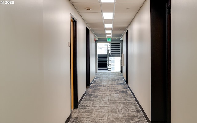 corridor with carpet floors and a paneled ceiling