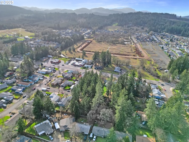 drone / aerial view featuring a residential view and a mountain view