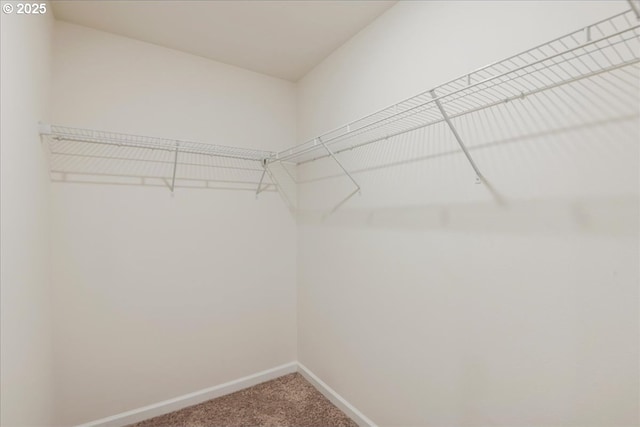 7119 NE 152nd Pl, Vancouver, WA 98682 - walk in closet with carpet floors