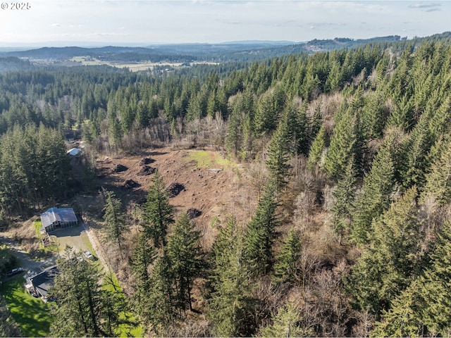 bird's eye view with a forest view