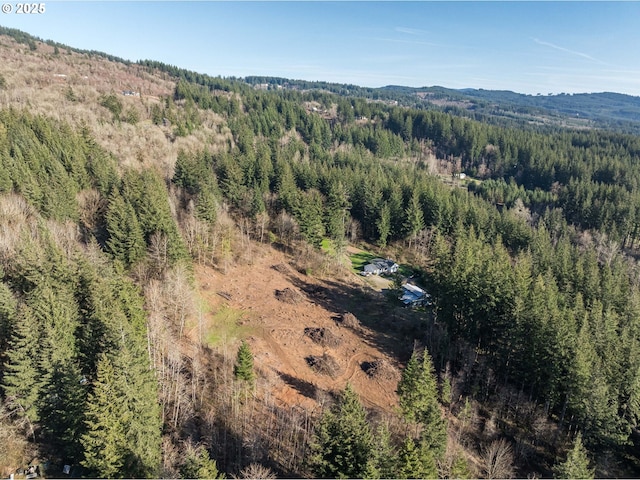 bird's eye view with a forest view