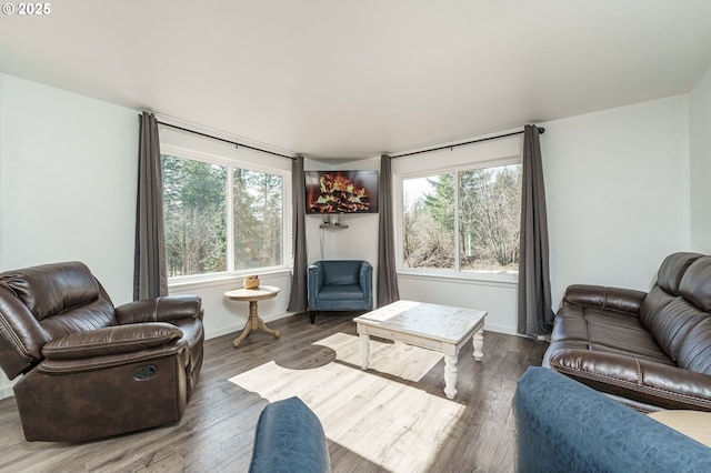 living area with baseboards and wood finished floors