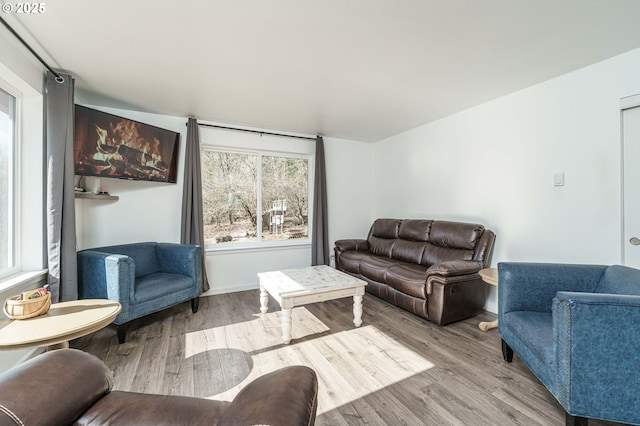 living area featuring wood finished floors