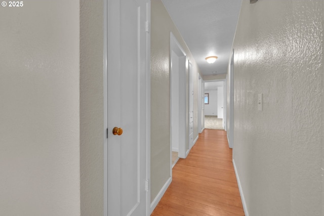 150 Maynard Ave, Eugene, OR 97404 - corridor with light wood finished floors and baseboards