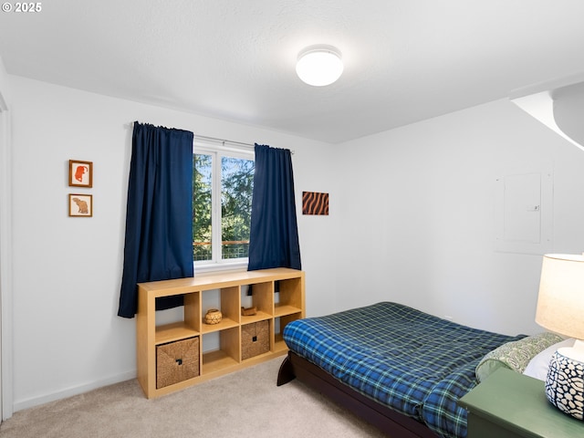 bedroom featuring carpet flooring and electric panel