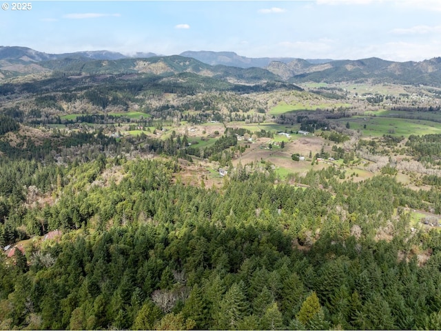 Ireland Rd, Winston, OR 97496