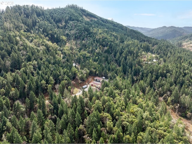 Ireland Rd, Winston, OR 97496