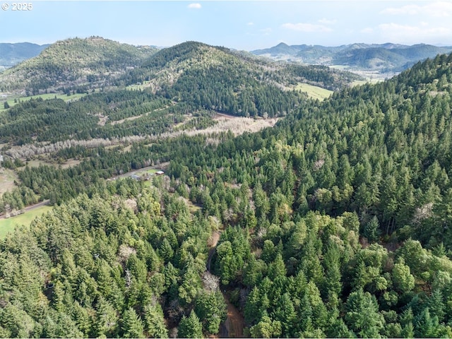Ireland Rd, Winston, OR 97496