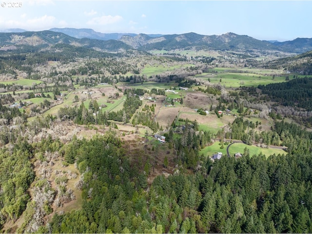 Ireland Rd, Winston, OR 97496