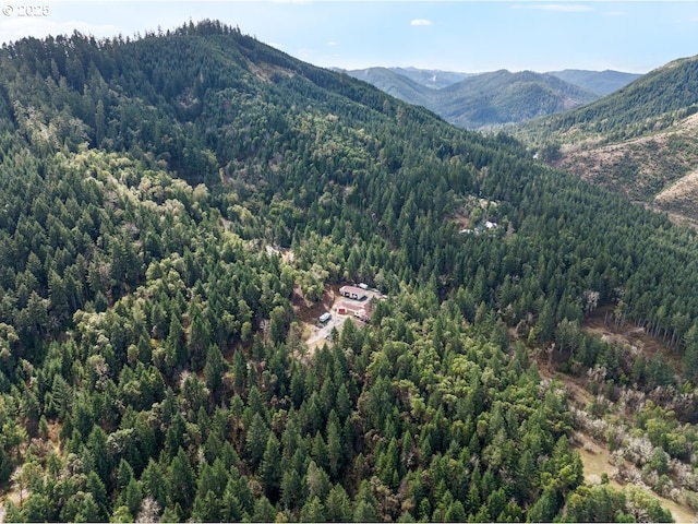 Ireland Rd, Winston, OR 97496