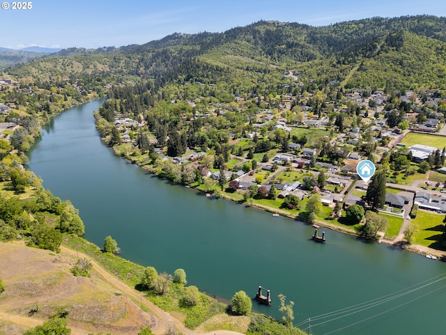 bird's eye view with a view of trees, a water and mountain view, and a residential view