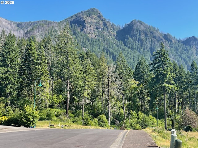 mountain view featuring a forest view
