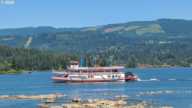 dock area with a view of trees and a water view