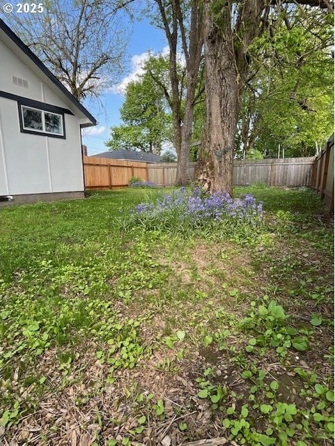 view of yard with a fenced backyard