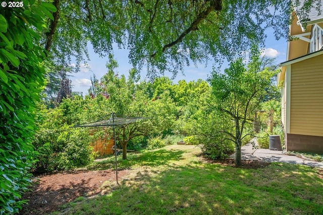 1520 SE 54th Ave, Portland, OR 97215 - view of green lawn
