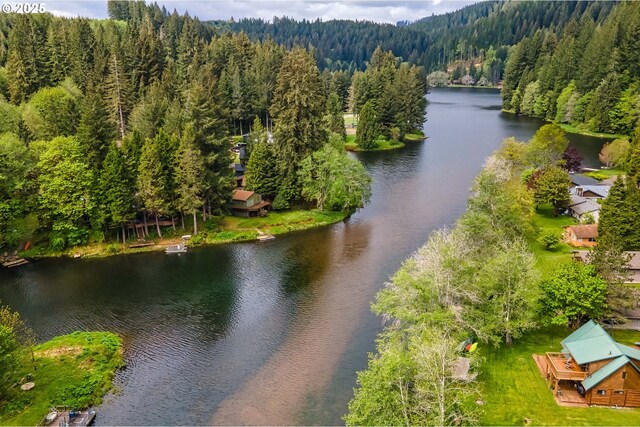 aerial view of a heavily wooded area and a nearby body of water