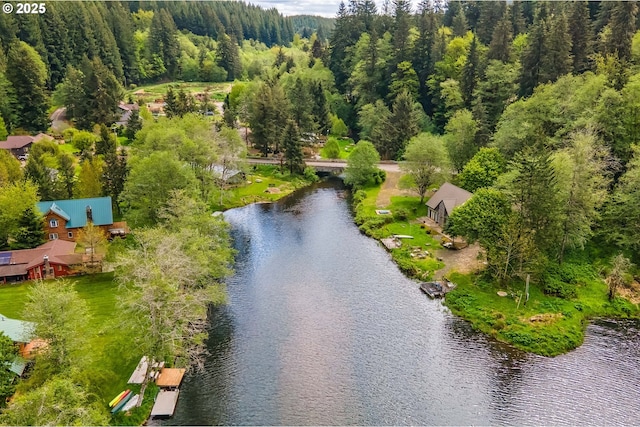 drone / aerial view of a large body of water and a forest