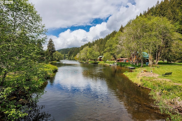 water view with a forest