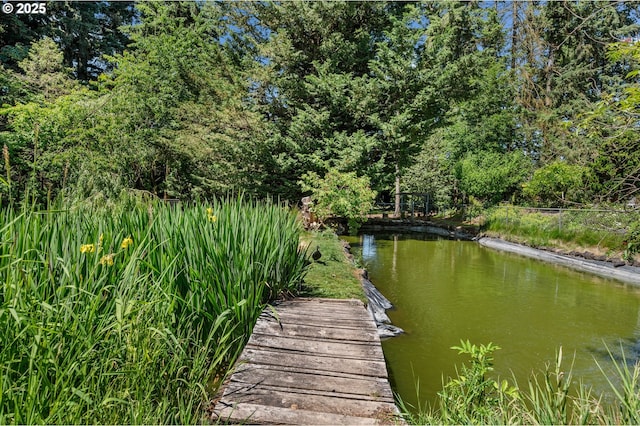 22750 SW Rosedale Rd, Beaverton, OR 97078 - view of dock area