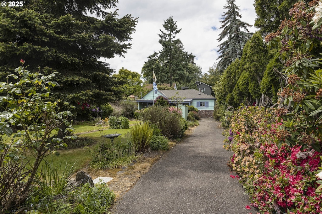 2325 SE Cottage St, Salem, OR 97301 - view of property hidden behind natural elements