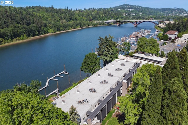 aerial view of a notable bridge, a large body of water, and a heavily wooded area