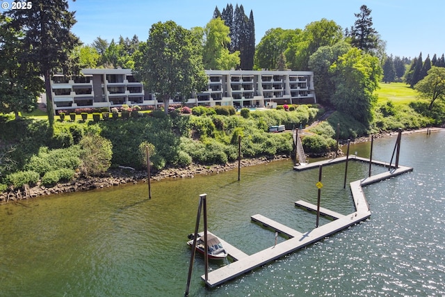 dock with a water view and view of scattered trees