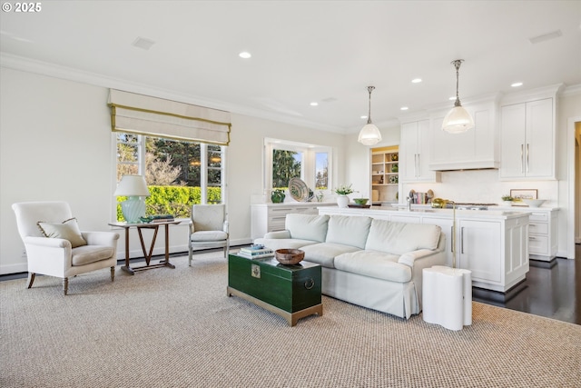 living room with sink and crown molding