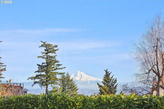 view of mountain feature