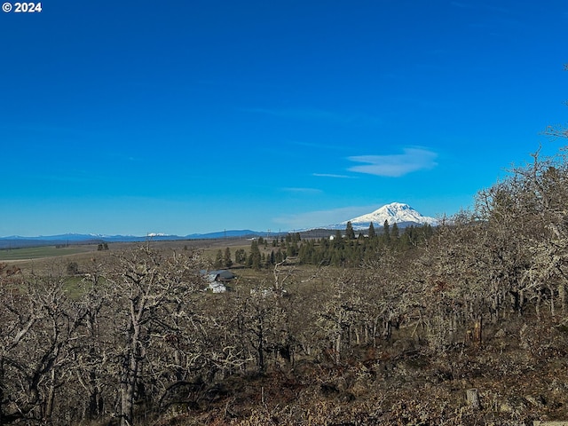 33 Rose Anns Way, Goldendale WA, 98620 land for sale